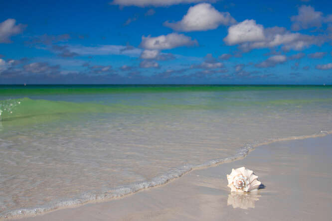 Siesta Key
